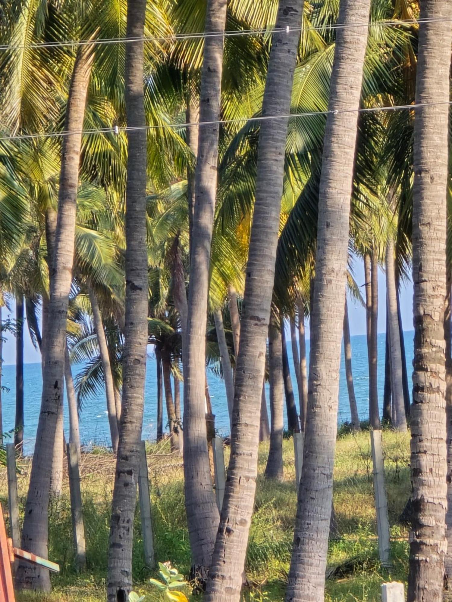 De Lumaa Beachside Stay Pondicherry Esterno foto